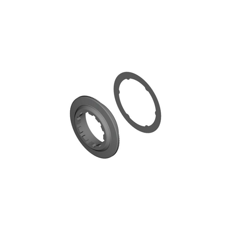 3D rendering of a bicycle lockring assembly consisting of a threaded lockring and a separate retaining washer, shown in dark gray against a light gray background.